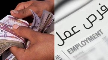 فرص عمل مميزة للشباب الخريجين براتب شهري 9000 جنيه، سارع بتقديم أوراقك واستغل هذه الفرصة الذهبية!