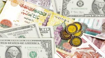 استقرار بعد تثبيت سعر الفائدة .. أسعار العملات في مصر اليوم الجمعة 8 نوفمبر 2024 في البنوك والسوق السوداء