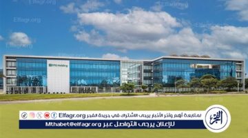 EFG Holding Achieves Consistent Growth with Strong Results for the Third Consecutive Quarter of 2024