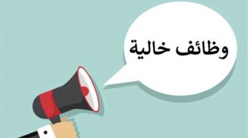 رواتب مجزية وتأمينات.. وزارة الشباب تعلن عن وظائف خالية (تفاصيل)