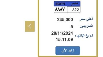 بسعر مميز.. التزايد على لوحة السيارة «ن و ر 8887» ينتهي بعد ساعات