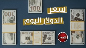 سعر الدولار اليوم السبت 2 نوفمبر 2024.. كم يسجل في البنك المركزي؟