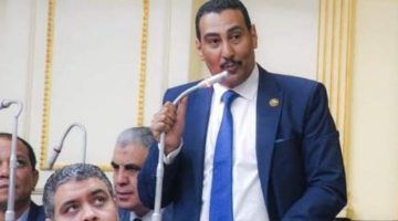 محمد الجبلاوي: عودة عمل «النصر للسيارات» إنجاز ضخم في عهد الرئيس السيسي