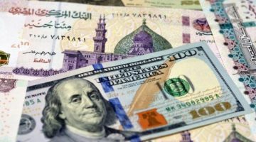 سعر الدولار مقابل الجنيه المصري خلال منتصف التعاملات