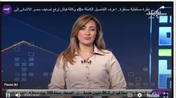 عبد المنعم السيد: مصر ستشهد تدفقات خارجية خلال المرحلة المقبلة بعد تقرير وكالة فيتش (فيديو)