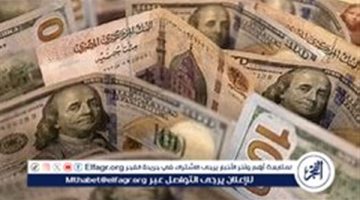 استقرار سعر الدولار مقابل الجنيه المصري اليوم الأربعاء 20 نوفمبر 2024 في البنوك المصرية