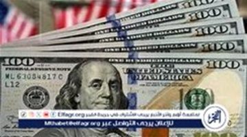 استقرار سعر الدولار مقابل الجنيه المصري اليوم السبت 2 نوفمبر 2024 في العطلة الأسبوعية للبنوك