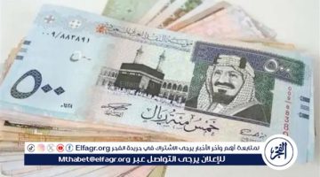 استقرار سعر الريال السعودي أمام الجنيه المصري اليوم الإثنين 18 نوفمبر 2024