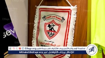 الزمالك يفوز على الزهور في دوري كرة السلة