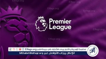 ترتيب هدافي الدوري الإنجليزي 2024-2025 قبل مباريات اليوم