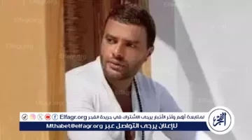 تعرف على إنجازات رامي صبري في الساحة الفنية