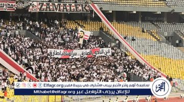 جماهير الزمالك تدعم محمد طارق عضو مجلس الإدارة من المدرجات