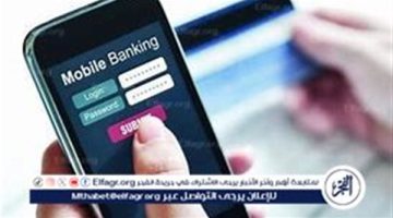 حقيقة سرقة الحسابات البنكية عبر المكالمات الهاتفية: خبير أمن المعلومات يوضح