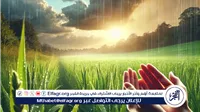 رحمة الله في قطرات المطر: أوقات مباركة للدعاء