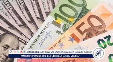 سعر الدولار مقابل الجنيه والعملات العربية والأجنبية اليوم الأحد 24 نوفمبر 2024