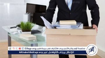 متى يجوز للأجنبي العمل داخل مصر وفقًا للقانون؟ (تفاصيل)