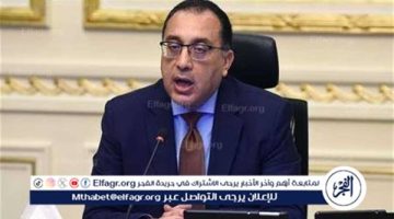 نستهدف عودة مصر مركزا إقليميا ودوليا لصناعة السيارات