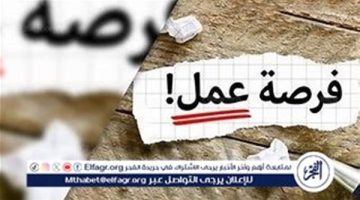 وظائف مستشارين عقاريين في شركة رائدة بالتجمع الخامس